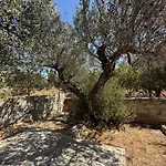 Theoni Garden House *