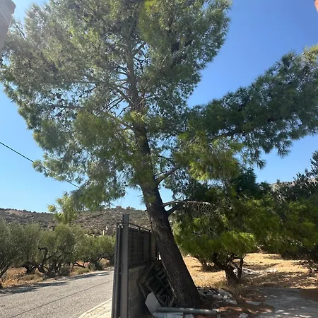 Theoni Garden House * Κυπάρισσος