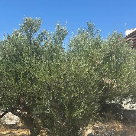 Διαμέρισμα Theoni Garden House