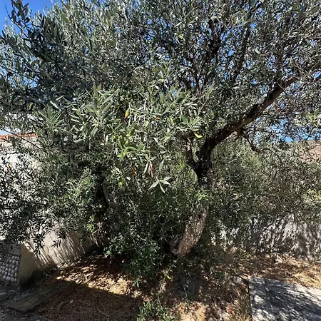 Διαμέρισμα Theoni Garden House