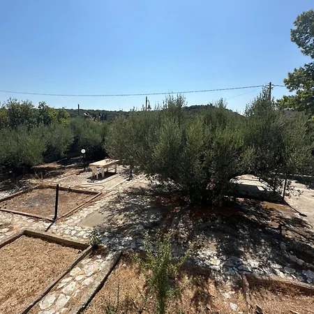 Διαμέρισμα Theoni Garden House Κυπάρισσος