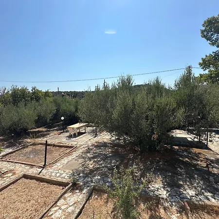 Theoni Garden House Διαμέρισμα *