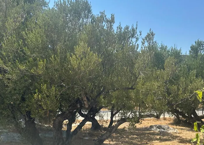 Theoni Garden House شقة Kyparissos (Laconia)