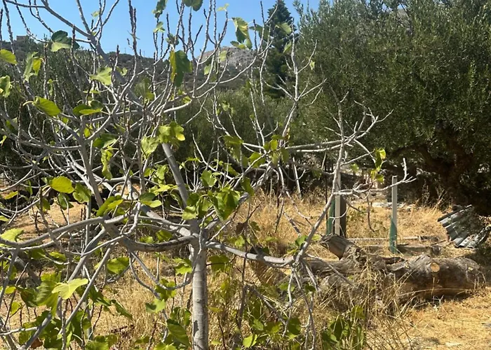 Theoni Garden House شقة Kyparissos (Laconia)