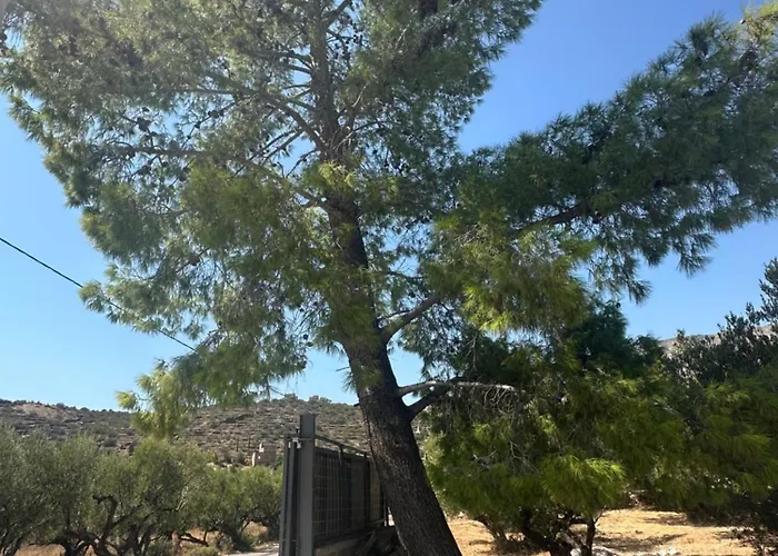 Theoni Garden House * Kyparissos (Laconia)