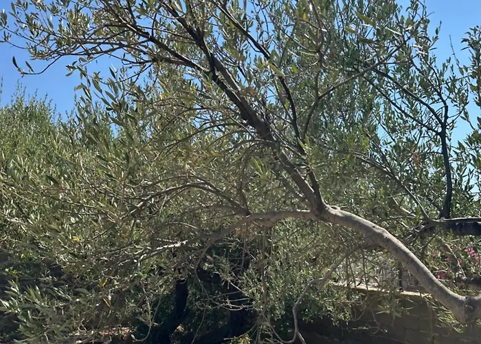 Theoni Garden House Kyparissos (Laconia)