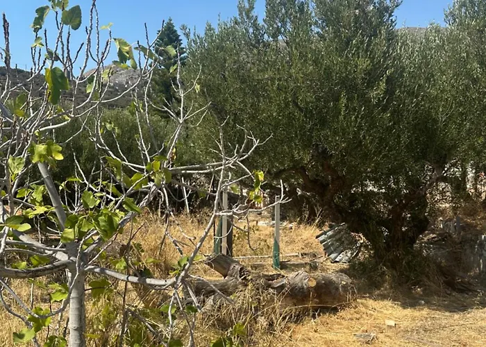 Theoni Garden House شقة Kyparissos (Laconia)