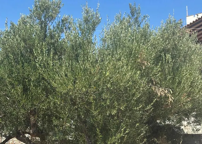 شقة Theoni Garden House