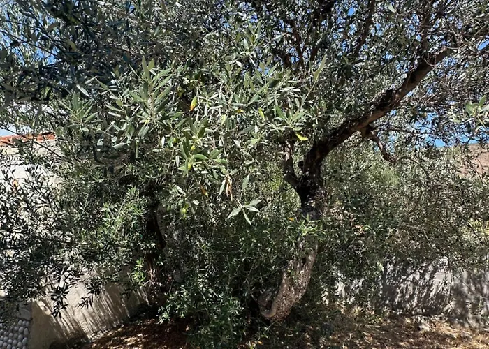 شقة Theoni Garden House