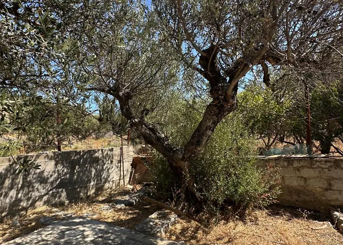 Theoni Garden House *